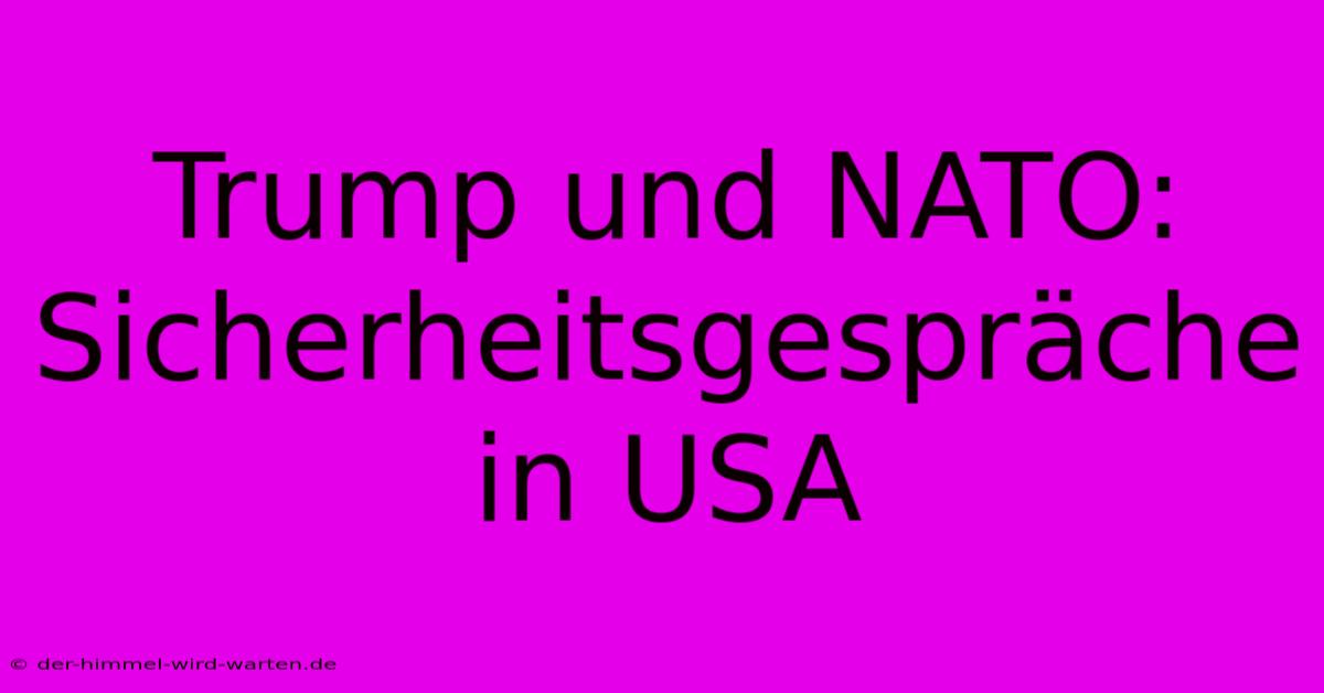 Trump Und NATO: Sicherheitsgespräche In USA