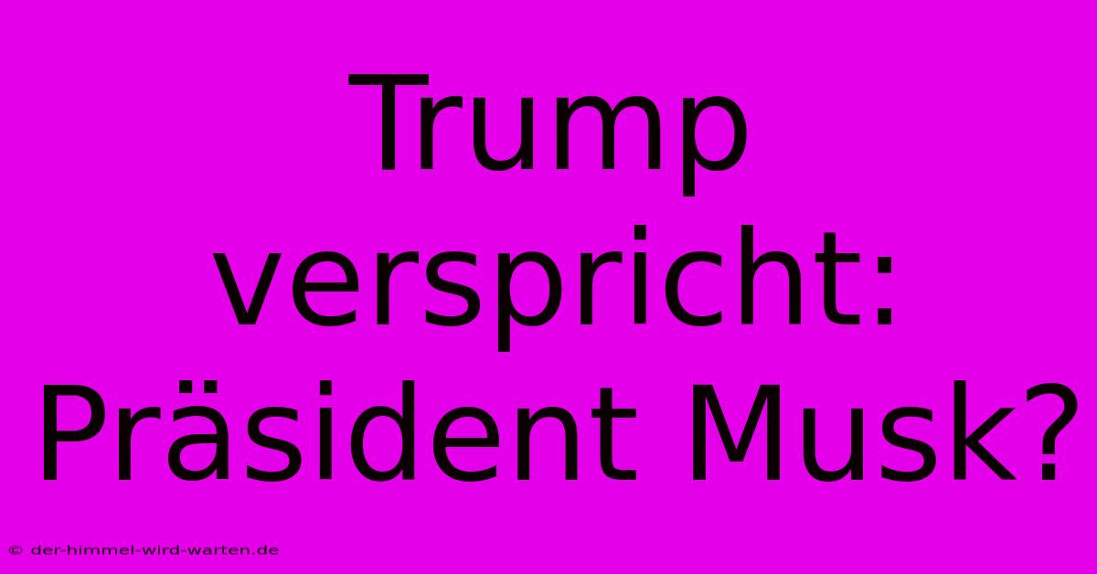 Trump Verspricht: Präsident Musk?