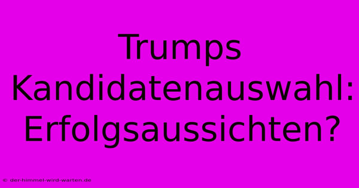 Trumps Kandidatenauswahl: Erfolgsaussichten?