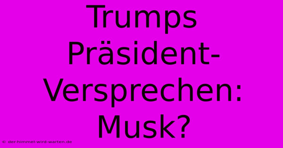 Trumps Präsident-Versprechen: Musk?