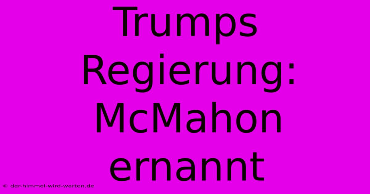 Trumps Regierung: McMahon Ernannt