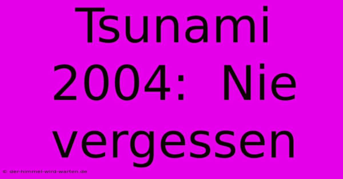 Tsunami 2004:  Nie Vergessen