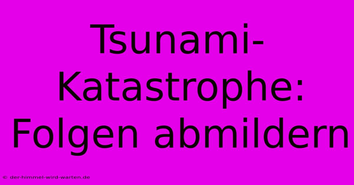 Tsunami-Katastrophe:  Folgen Abmildern