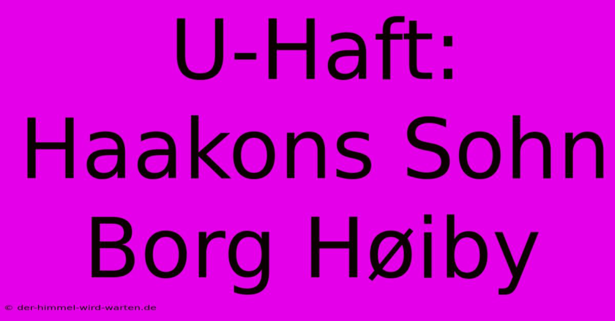 U-Haft: Haakons Sohn Borg Høiby