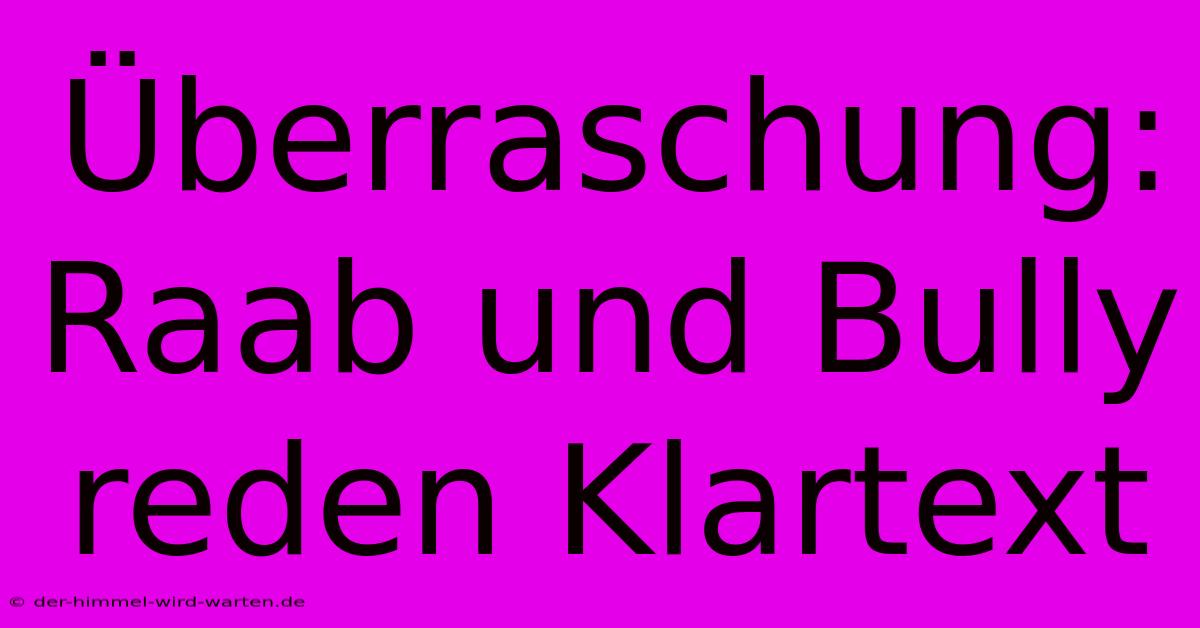 Überraschung: Raab Und Bully Reden Klartext