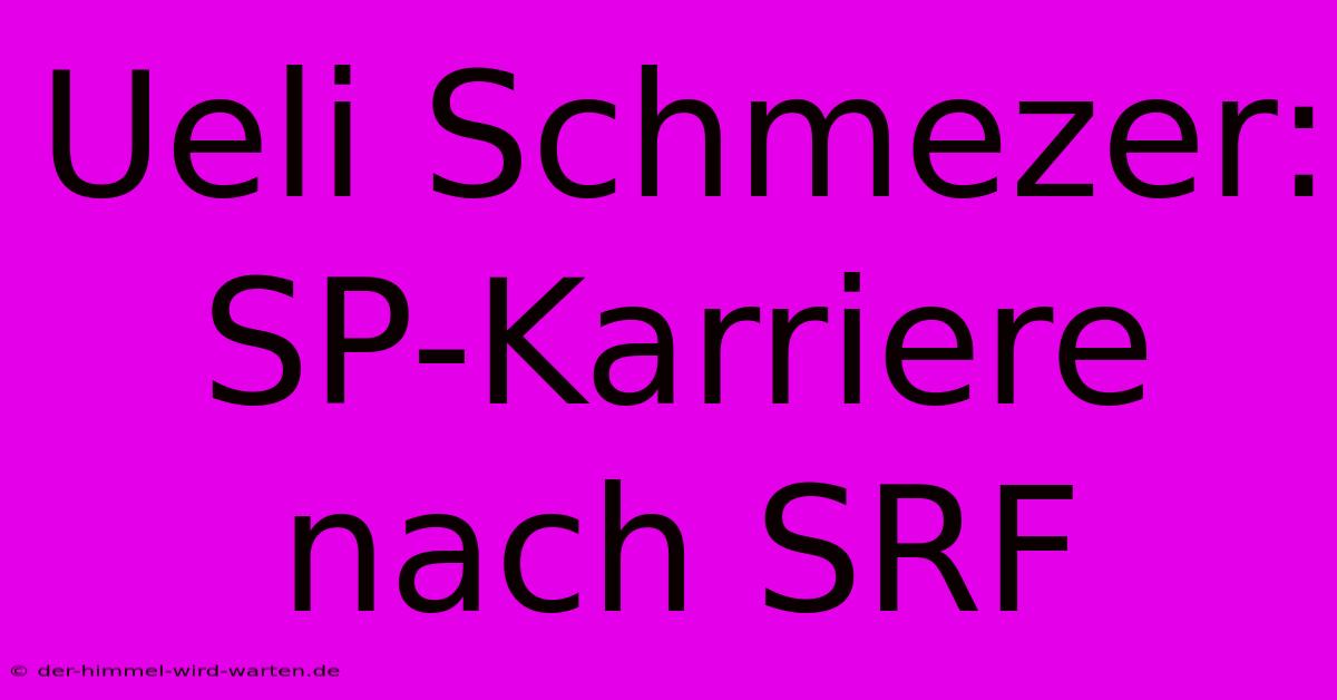 Ueli Schmezer: SP-Karriere Nach SRF