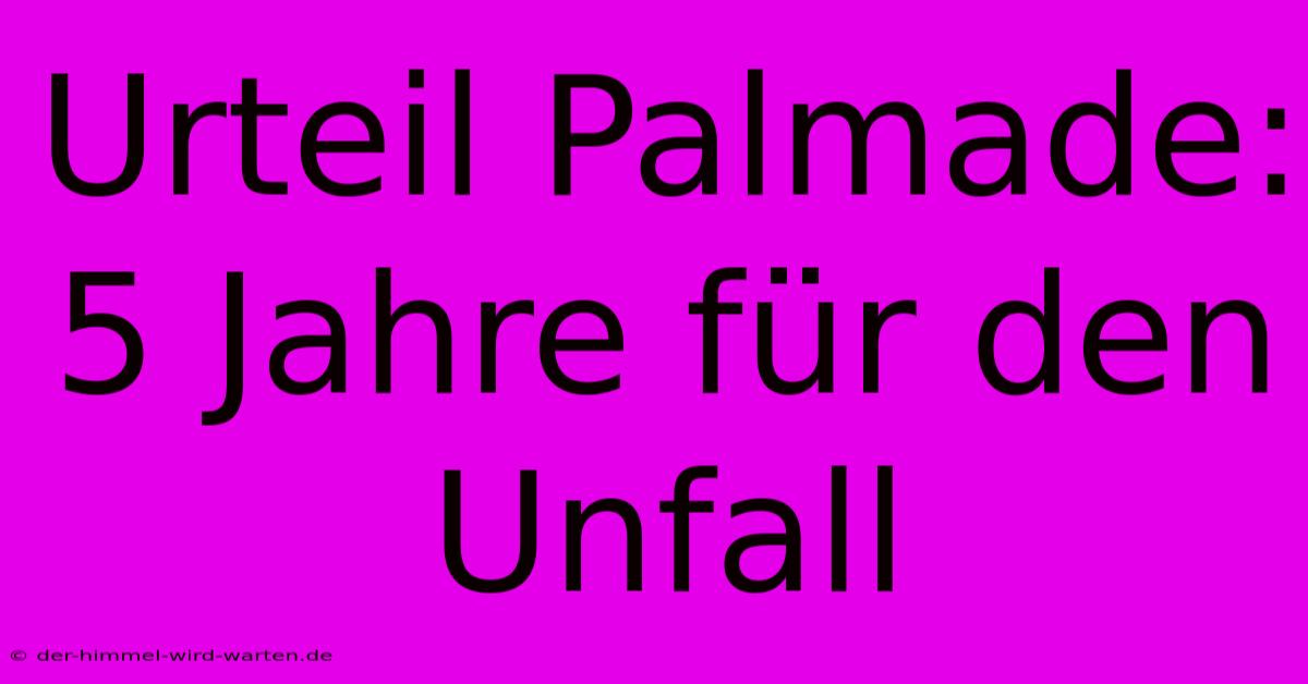 Urteil Palmade: 5 Jahre Für Den Unfall