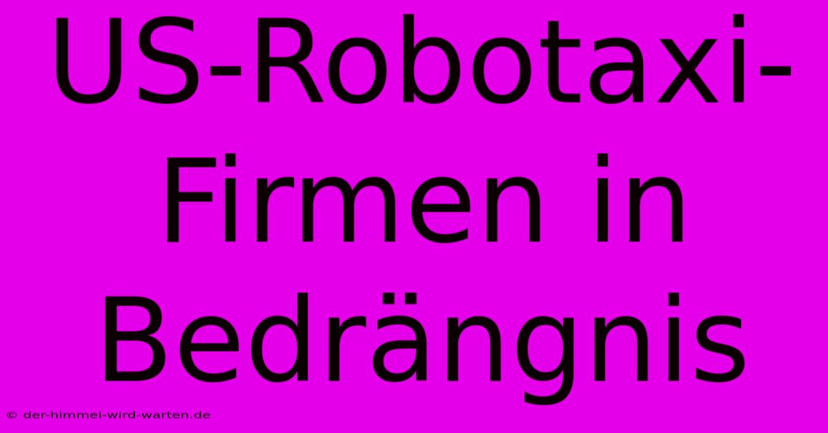 US-Robotaxi-Firmen In Bedrängnis