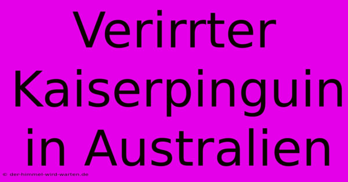 Verirrter Kaiserpinguin In Australien