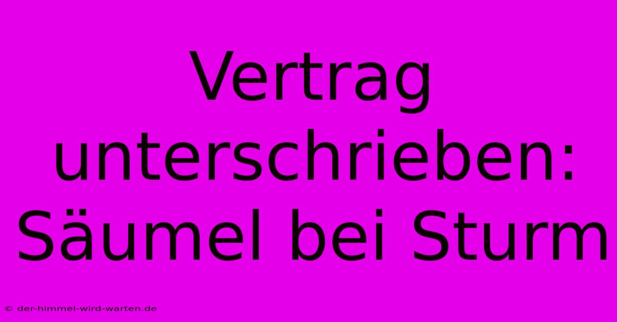 Vertrag Unterschrieben: Säumel Bei Sturm