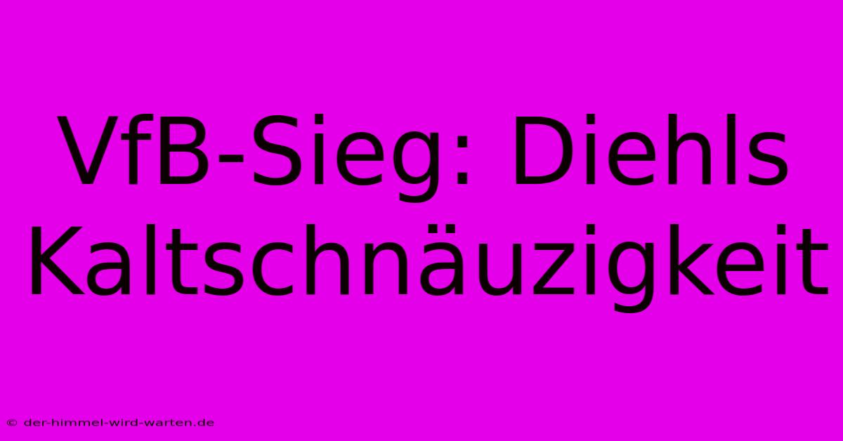 VfB-Sieg: Diehls Kaltschnäuzigkeit