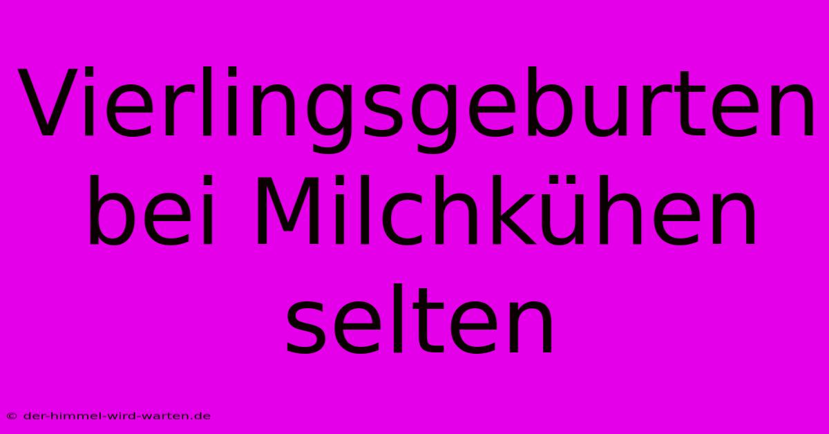 Vierlingsgeburten Bei Milchkühen Selten