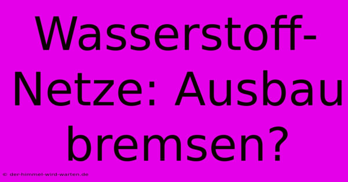 Wasserstoff-Netze: Ausbau Bremsen?