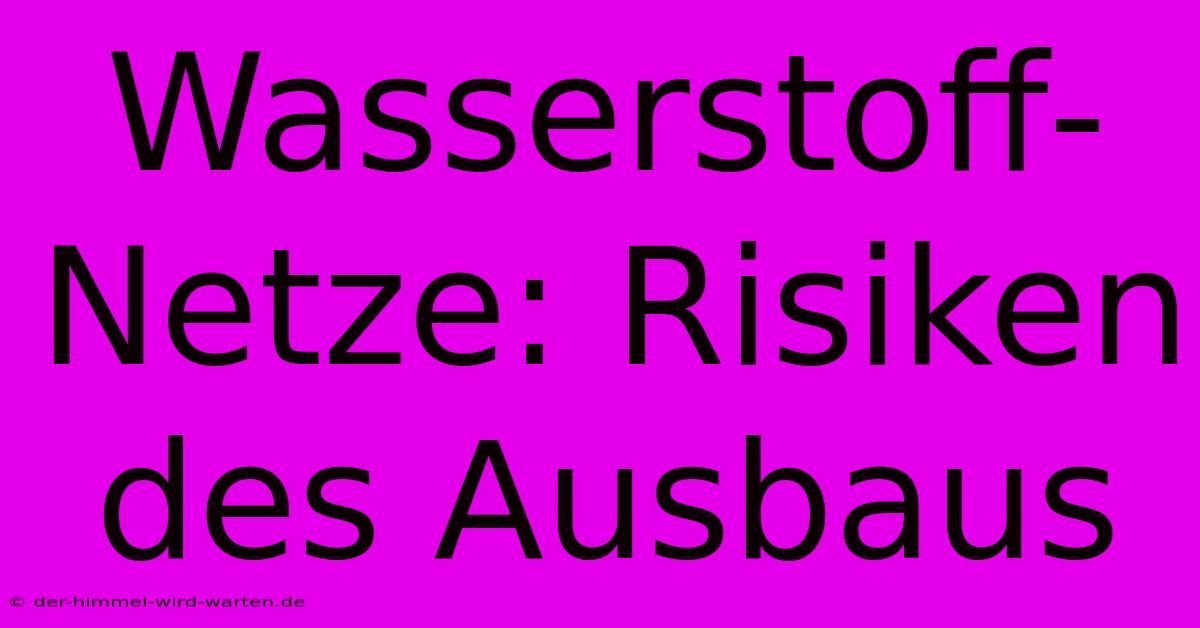 Wasserstoff-Netze: Risiken Des Ausbaus