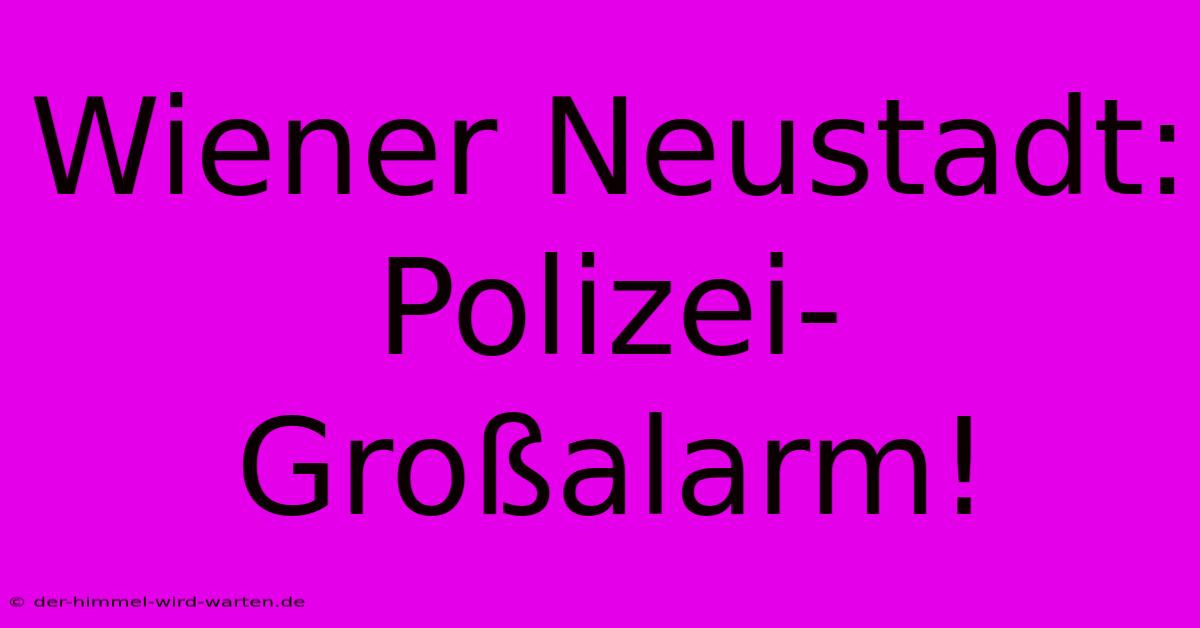 Wiener Neustadt: Polizei-Großalarm!