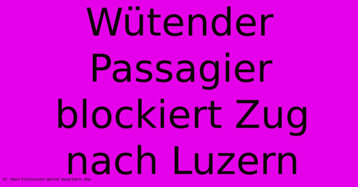 Wütender Passagier Blockiert Zug Nach Luzern