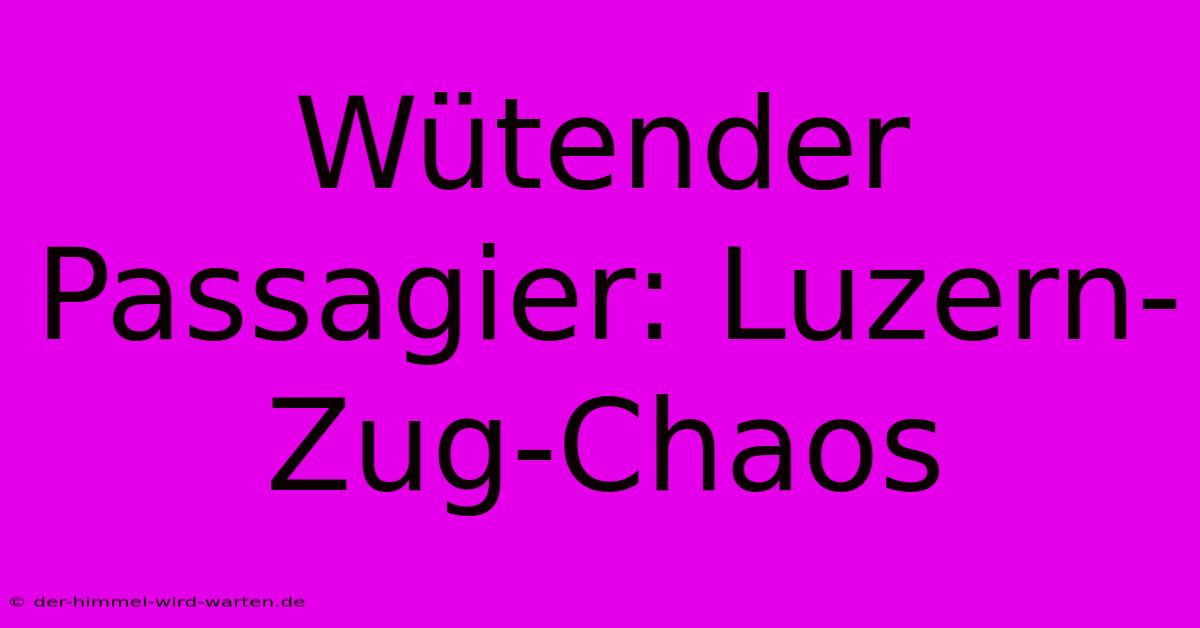 Wütender Passagier: Luzern-Zug-Chaos