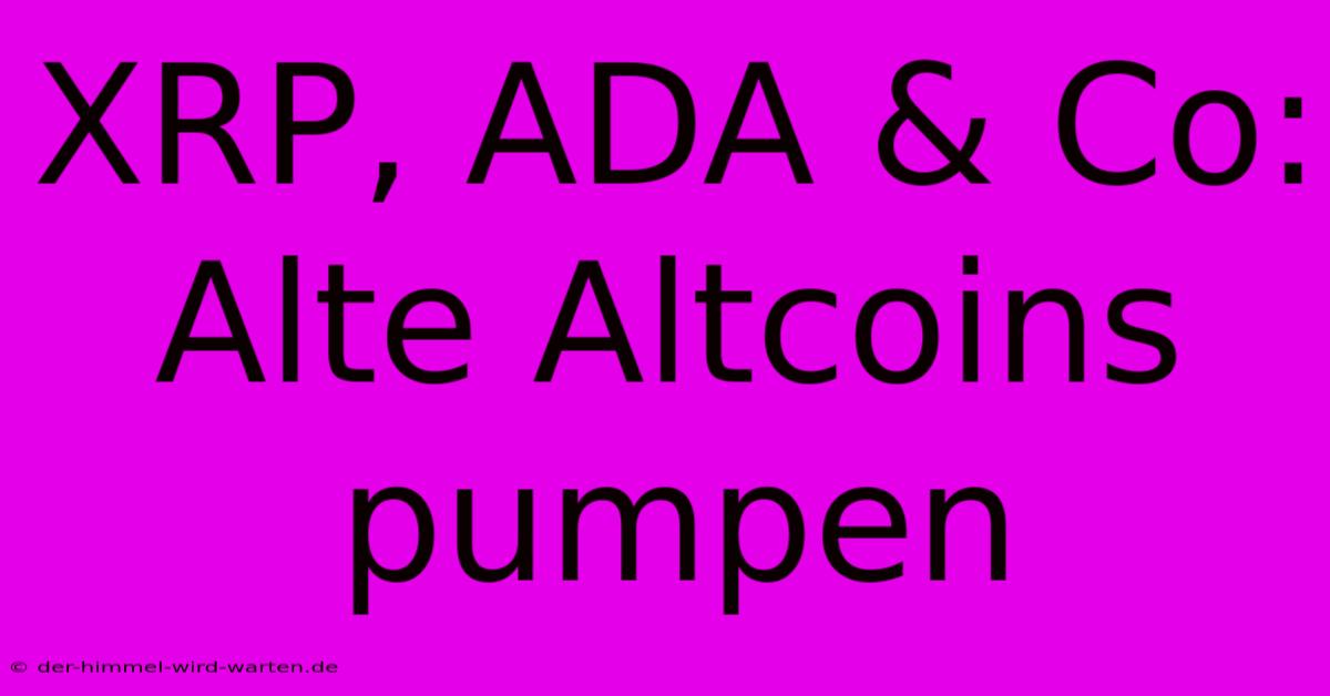 XRP, ADA & Co: Alte Altcoins Pumpen