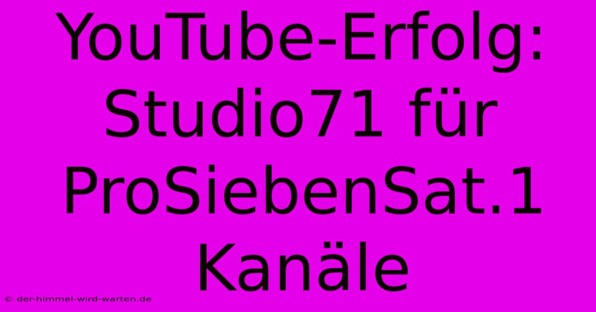 YouTube-Erfolg: Studio71 Für ProSiebenSat.1 Kanäle