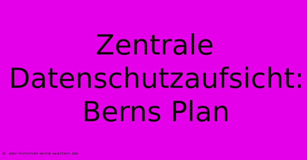 Zentrale Datenschutzaufsicht: Berns Plan