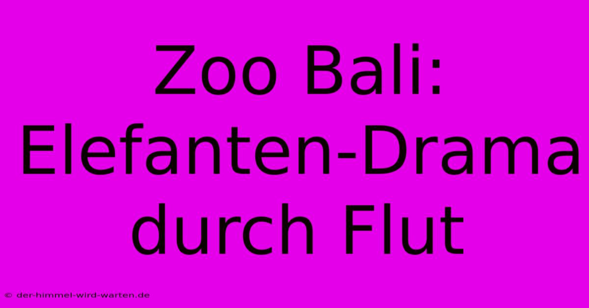 Zoo Bali: Elefanten-Drama Durch Flut