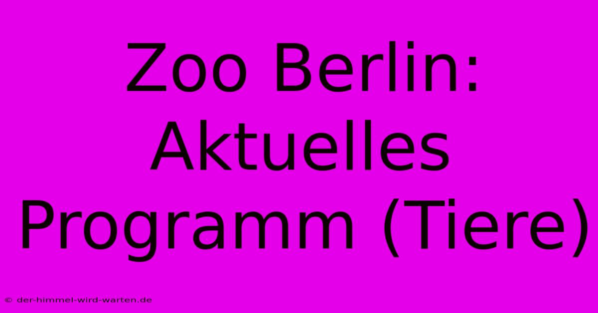 Zoo Berlin: Aktuelles Programm (Tiere)