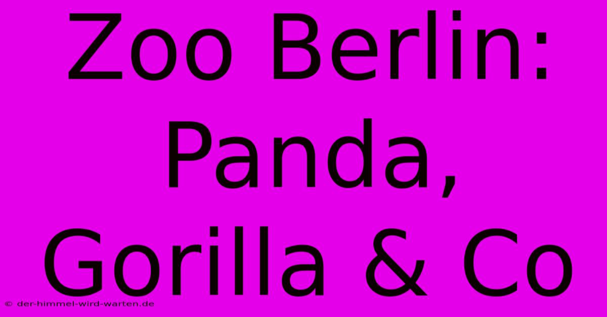 Zoo Berlin: Panda, Gorilla & Co