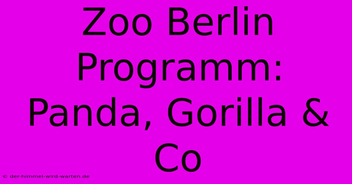 Zoo Berlin Programm: Panda, Gorilla & Co