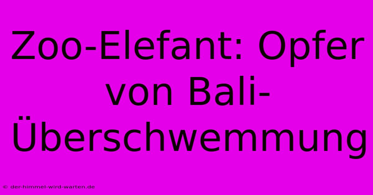 Zoo-Elefant: Opfer Von Bali-Überschwemmung