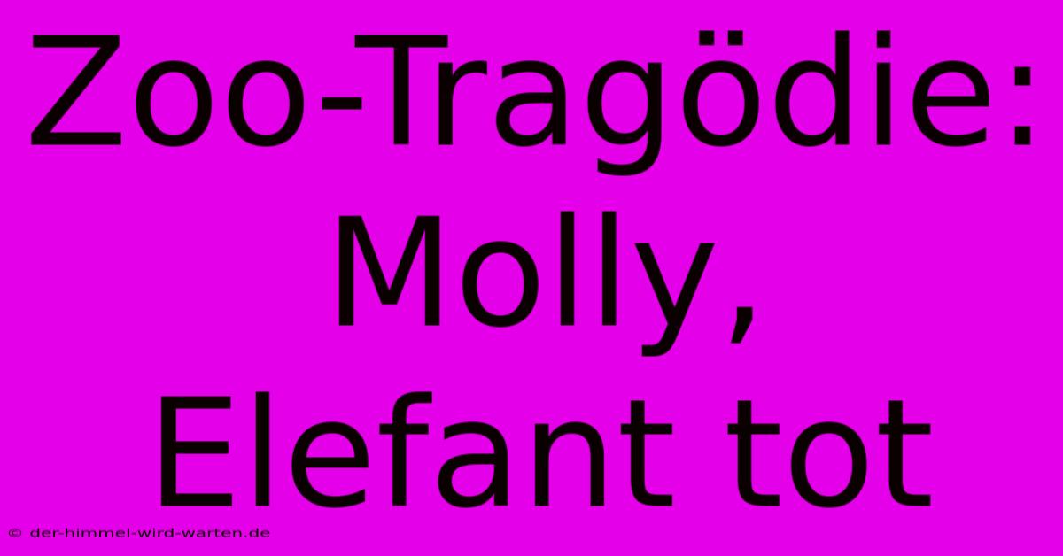 Zoo-Tragödie: Molly, Elefant Tot