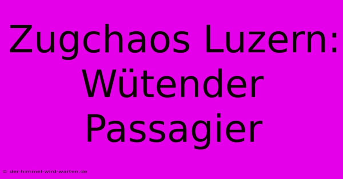 Zugchaos Luzern: Wütender Passagier