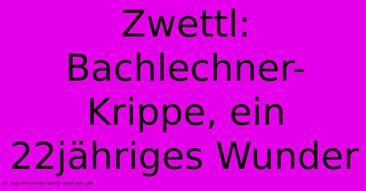 Zwettl: Bachlechner-Krippe, Ein 22jähriges Wunder