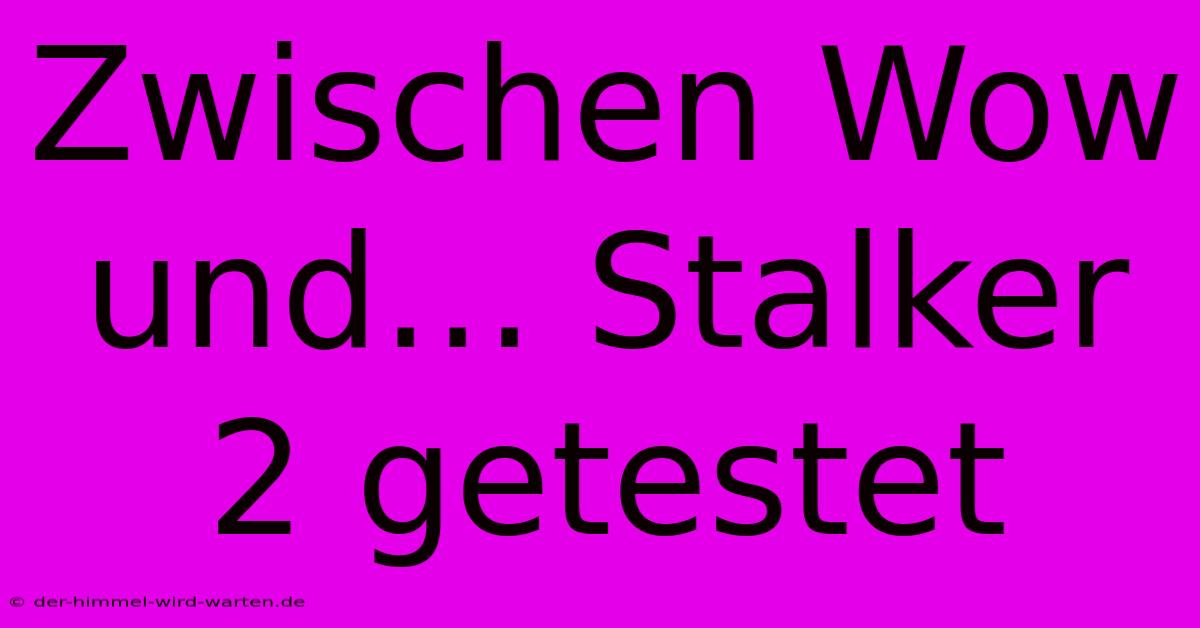 Zwischen Wow Und… Stalker 2 Getestet